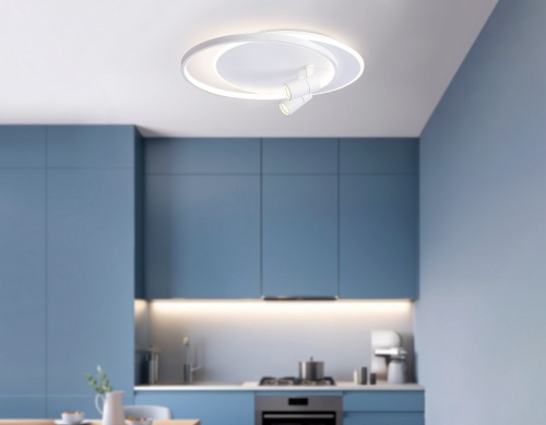 Накладной светильник Ambrella Light FL FL51391 в Нижнем Новгороде фото 4