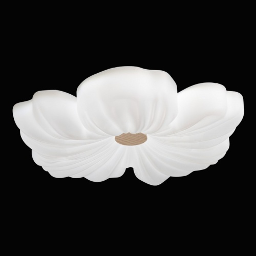 Накладной светильник De City Мадлен 424019501 в Нижнем Новгороде фото 5