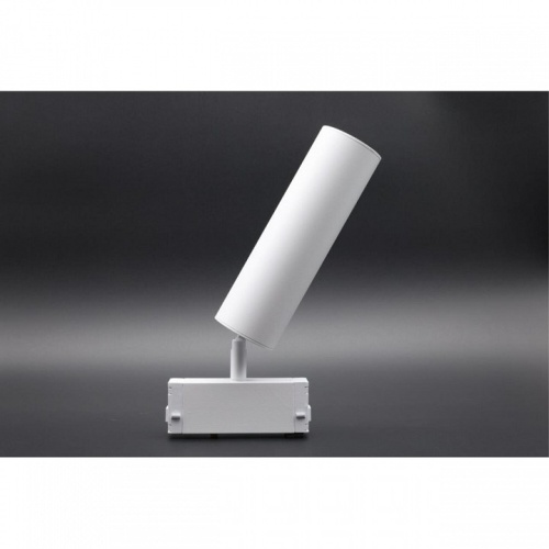 Светильник на штанге Aployt Magnetic track 220 APL.0210.11.01 в Нижнем Новгороде фото 3