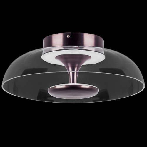 Накладной светильник Lightstar Celesta 809200 в Нижнем Новгороде фото 9