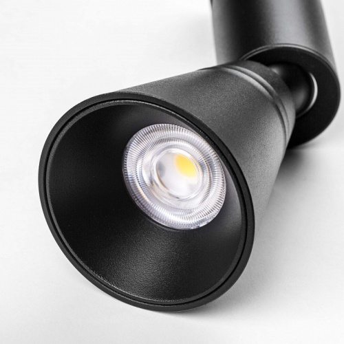 Светильник на штанге Lightstar Due Hermes 210847 в Нижнем Новгороде фото 3