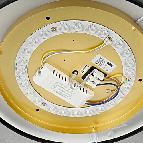 Накладной светильник Imperiumloft Vedum01 179851-26 в Нижнем Новгороде фото 2