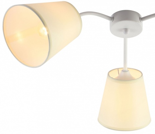 Потолочная люстра Rivoli Aimee Б0059971 в Нижнем Новгороде фото 2