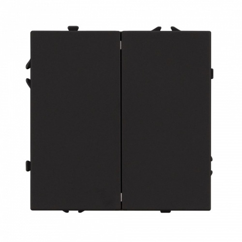 Выключатель двухклавишный без рамки Arlight SWT 054252 в Нижнем Новгороде фото 2