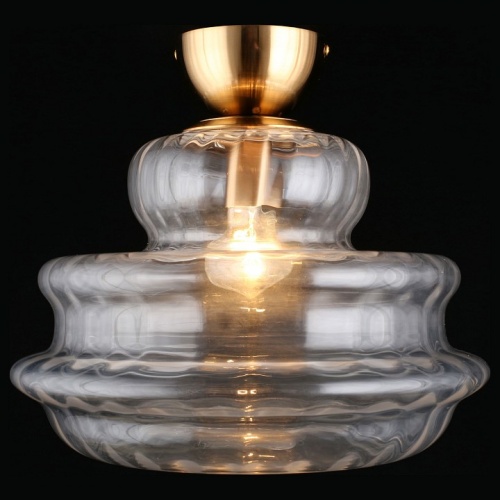 Накладной светильник Aployt Liana APL.303.07.01 в Нижнем Новгороде фото 4