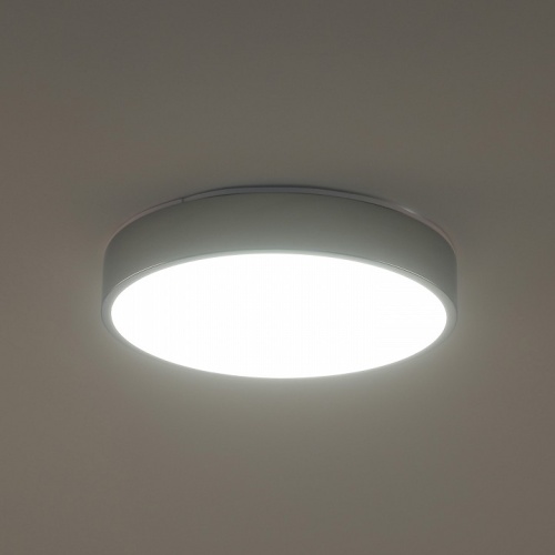 Накладной светильник Zortes Tortty ZRS.02565.36 в Нижнем Новгороде фото 4