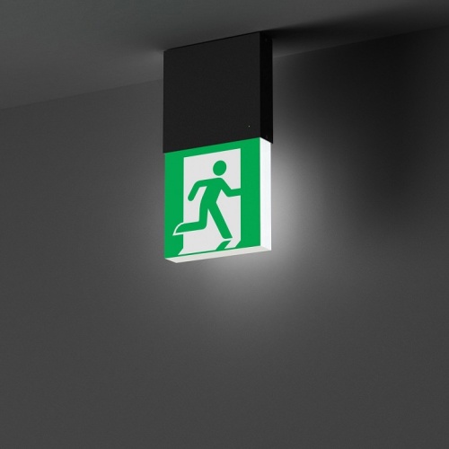 Светильник-указатель Arlight EMG-MARK 057966 в Нижнем Новгороде фото 5