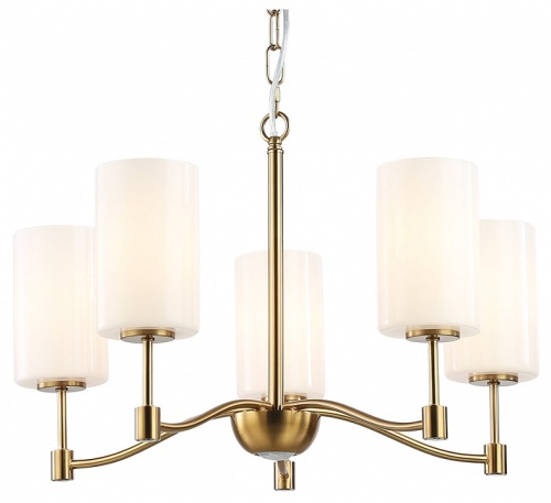 Подвесная люстра Ambrella Light LH LH56051 в Нижнем Новгороде