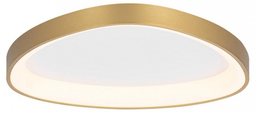 Накладной светильник Citilux GENKA SMART CL756A142 в Нижнем Новгороде фото 10