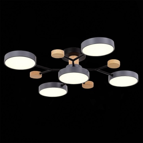 Потолочная люстра EVOLUCE Faema SLE6006-702-05 в Нижнем Новгороде фото 3