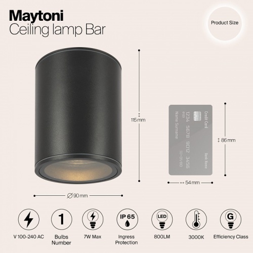 Накладной светильник Maytoni Bar O306CL-L7GF в Соколе фото 3
