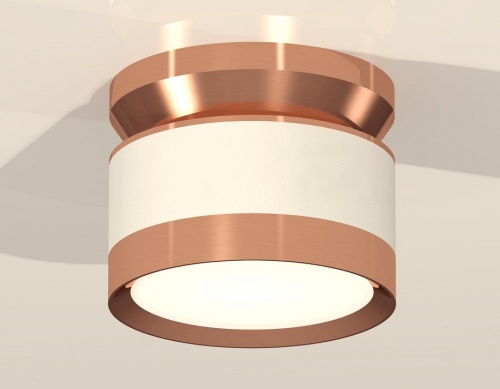 Накладной светильник Ambrella Light XS XS8101065 в Нижнем Новгороде фото 2