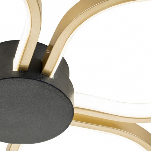 Потолочная люстра Escada Clover 10243/4LED в Нижнем Новгороде фото 2