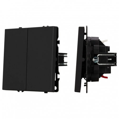 Выключатель проходной двухклавишный без рамки Arlight SWT 054255 в Нижнем Новгороде