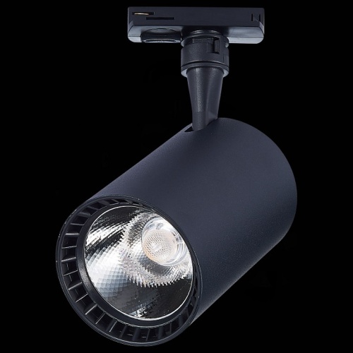 Светильник на штанге ST-Luce Cami ST351.446.30.36 в Нижнем Новгороде фото 2