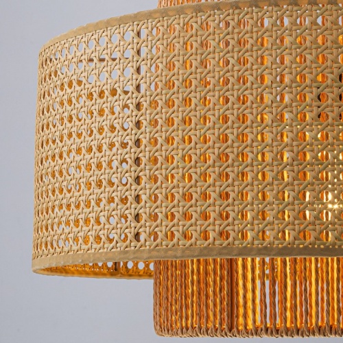 Подвесной светильник Favourite Organicum 4769-1P в Нижнем Новгороде фото 5