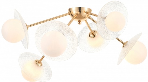 Потолочная люстра Rivoli Jacqueline Б0066470 в Нижнем Новгороде фото 2