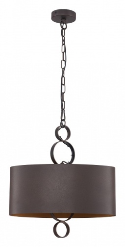 Подвесной светильник Favourite Ferrous 4007-2P в Нижнем Новгороде фото 9