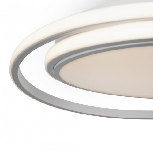 Накладной светильник Freya  FR10032CL-L98W в Нижнем Новгороде фото 2