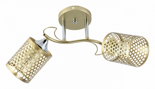 Светильник на штанге 01322-0.3-02 MATT GOLD+CR в Нижнем Новгороде