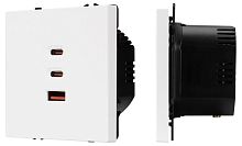 Механизм розетки 2хUSB type A и C Arlight NOBE 061839 в Нижнем Новгороде