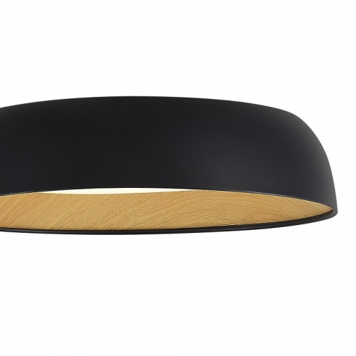 Накладной светильник EVOLUCE MUSE SLE1812-402-01 в Нижнем Новгороде фото 2