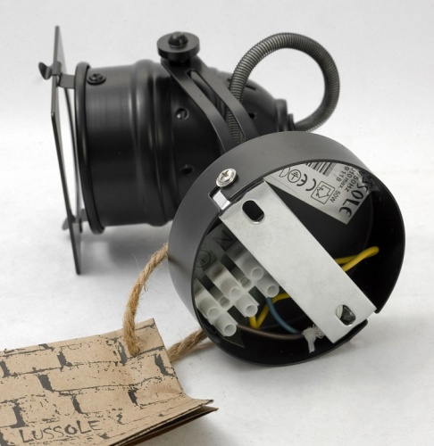 Спот Lussole Denver GRLSP-9118 в Нижнем Новгороде фото 4