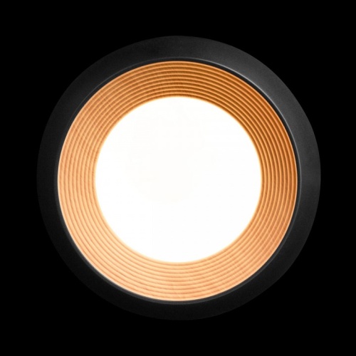 Накладной светильник Loft it Folk 10255/350 Black в Нижнем Новгороде фото 5