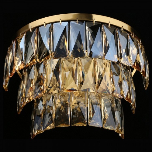 Накладной светильник Aployt Francheska APL.837.01.02 в Нижнем Новгороде фото 6