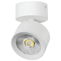 Спот Lightstar Alta Pro A5546SO в Нижнем Новгороде