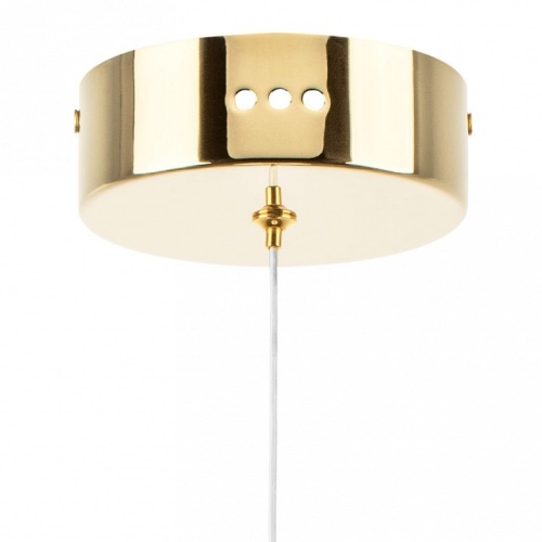 Подвесной светильник Lightstar Acrile 738023 в Нижнем Новгороде фото 4