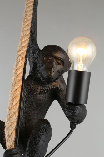 Подвесной светильник Aployt Magali APL.309.16.01 в Нижнем Новгороде фото 16