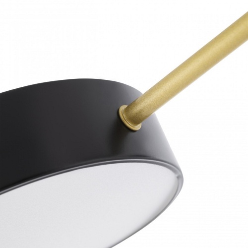 Потолочная люстра Arte Milano Ferrara 252006/5 Bk/Bk в Нижнем Новгороде фото 4