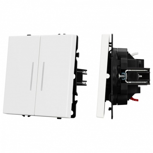 Выключатель двухклавишный без рамки Arlight SWT 054239 в Нижнем Новгороде