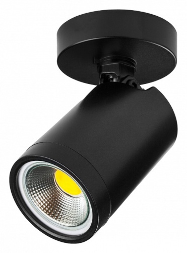 Светильник на штанге Lightstar Rullo 213407 в Нижнем Новгороде