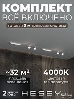 Комплект трековый Hesby Lighting Skylite №14 HSBL_kompl_S014_VI3W4K в Нижнем Новгороде
