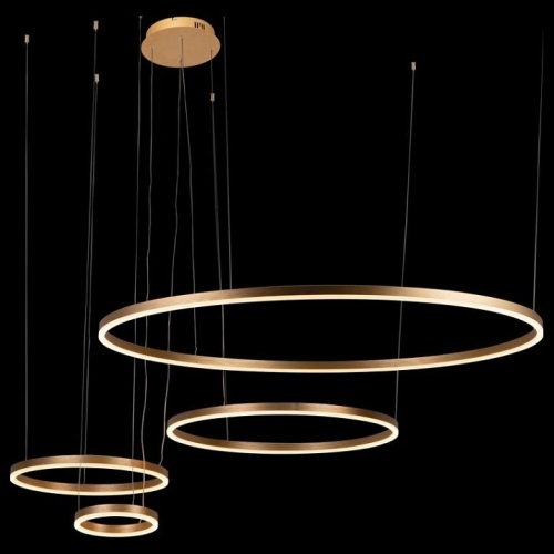 Подвесной светильник Loft it Ring 10017/4L в Нижнем Новгороде фото 8