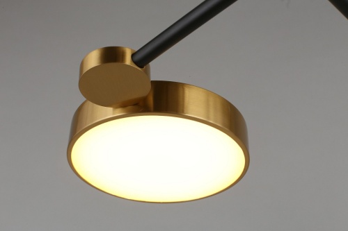 Потолочная люстра Aployt Ines APL.043.07.65 в Нижнем Новгороде фото 7