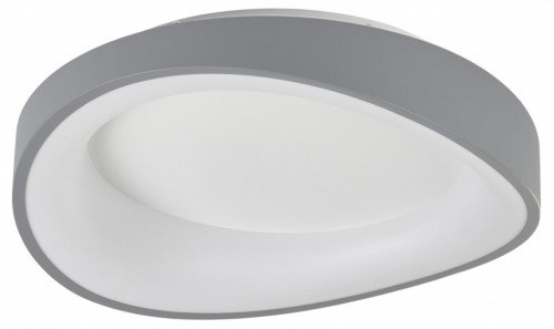 Накладной светильник MyFar Diona MR9190-CL в Нижнем Новгороде