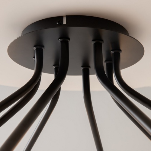 Потолочная люстра Maytoni Виго MOD620CL-16B в Нижнем Новгороде фото 11