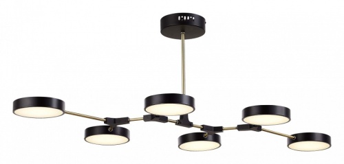 Люстра на штанге EVOLUCE Monta SLE6004-402-06 в Нижнем Новгороде фото 4