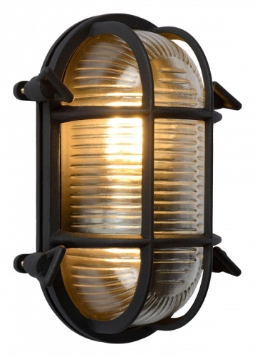 Накладной светильник Lucide Dudley 11891/20/30 в Нижнем Новгороде