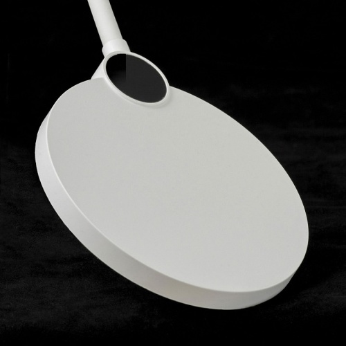 Торшер Lussole Amador LSP-0919 в Нижнем Новгороде фото 5