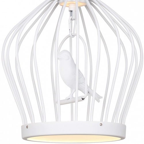 Подвесной светильник Favourite Chick 1931-2P в Нижнем Новгороде фото 4