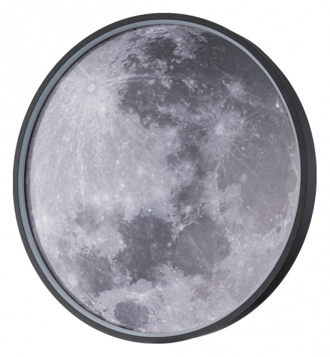 Накладной светильник Escada Planet 10226/SG LED Moon в Геленджике фото 4