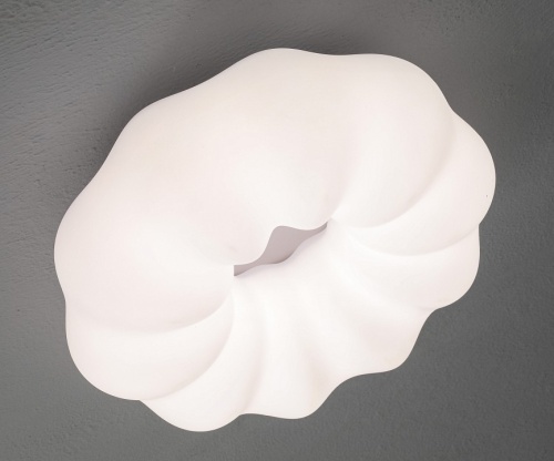 Накладной светильник Zortes Soft ZRS.1118.3 в Нижнем Новгороде фото 9