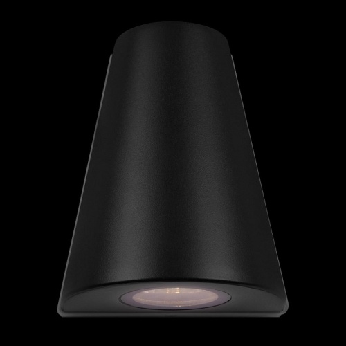 Накладной светильник Loft it Eterno 100004/2 в Нижнем Новгороде фото 8