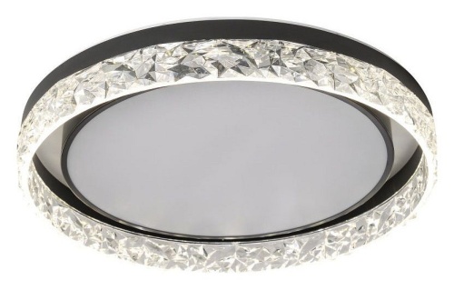 Накладной светильник Zortes Adel ZRS.1200.02 в Нижнем Новгороде фото 14