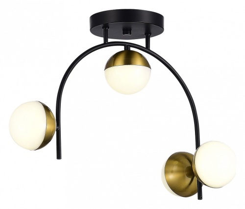 Потолочная люстра EVOLUCE Aarnio SLE6500-402-04 в Нижнем Новгороде фото 5