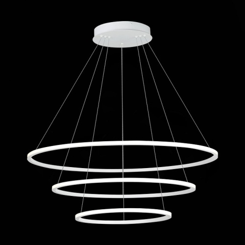 Подвесной светильник ST-Luce ST604 OUT ST604.543.114 в Нижнем Новгороде фото 3